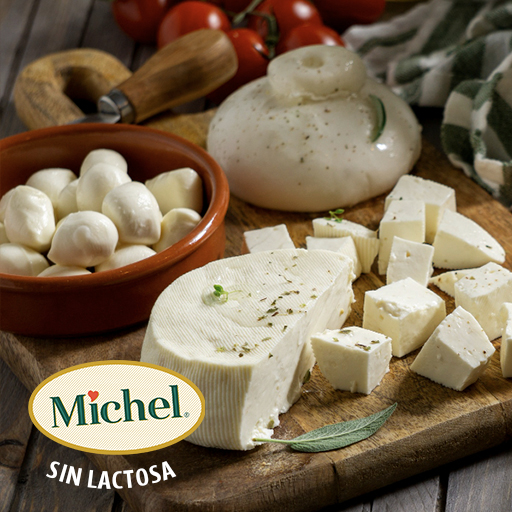 Queso Michell Sin Lactosa